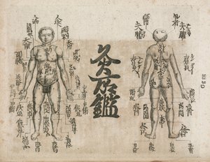 Akupunkturkarte des menschlichen Körpers, die die Punkte der Moxibustion anzeigt (Moxabustionsdiagramm, das zeigt, wo das Sengen vermieden werden sollte) von Unbekannt