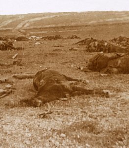 Nach dem Angriff, Beauséjour, Nordfrankreich, ca. 1914-1918