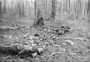 Nachwirkungen der Kämpfe im Park von Plessis-de-Roye, Picardie, Frankreich, 30. März 1918 von Unbekannt