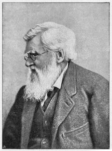 Alfred Russell Wallace, walisischer Naturforscher, ca. 1895