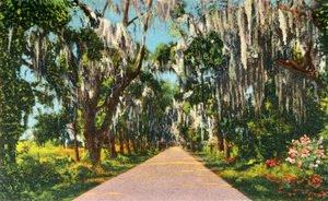 Eine verlockende Straßenszene in den Carolinas, 1942