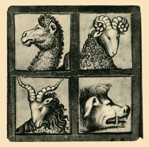 Tierköpfe