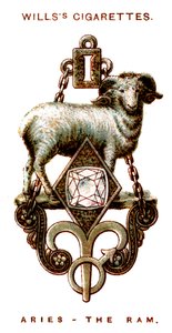 Widder, 1923 von Unbekannt