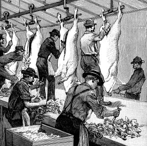 Schlachthaus der Armour Company, Chicago, Illinois, USA, 1892