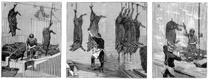 Schlachthaus der Armour Company, Chicago, Illinois, USA, 1892