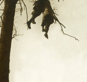 Leiche im Baum, Bois d