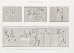 Buch: Beschreibung von Ägypten von Unbekannt