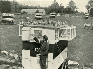 Träger-Tauben der britischen Armee in Frankreich: Pferdegezogene Lofts, 1919
