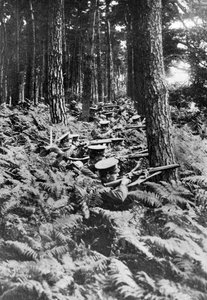 Britische Infanterie in einem Wald, Erster Weltkrieg, 1914-1918