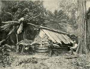 Buschhütte, Dandenong Ranges, Victoria, 1901
