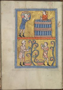 Kalender, September, Männer beim Traubenpflücken und -treten - Psalter von Eleonore von Aquitanien (ca. 1185) - KB 76 F 13, Folium 009v von Unbekannt