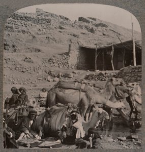 Kamelkarawane aus Jerash, Wasserstelle am Brunnen von Elisha, um 1900