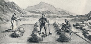 Cancha De Beneficiar, oder Methode der Amalgamation von Gold und Silber, um 1826, 1911 von Unbekannt