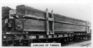 Wagenladung Douglasien, Kanada, um 1920er Jahre