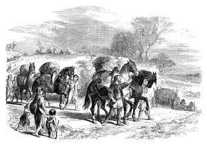Brottransport nach London auf Packpferden, um 1895 von Unbekannt