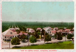 Castro Street, Hayward, Kalifornien, 1905