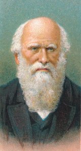 Charles Darwin 1809-1882, britischer Naturforscher, 1924