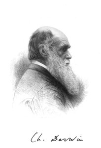 Charles Darwin, englischer Naturforscher, ca. 1880