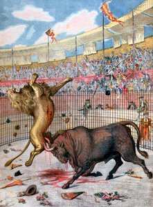 Kampf zwischen einem Löwen und einem Stier, Spanien, 1894 von Unbekannt