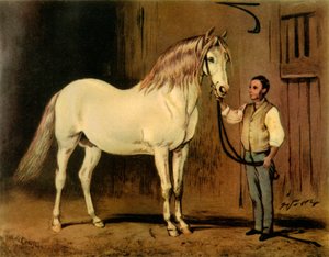 Cream State Kutschpferd des Gestüts von Königin Victoria von Unbekannt