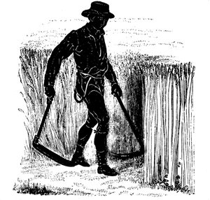 Fruchtfolge: Ernten mit einer Hainault-Sense, 1855 von Unbekannt