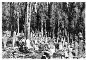 Zypressen im Friedhof von Scutari, Türkei, 1895
