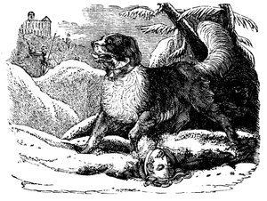 Hund vom Hospiz des Heiligen Bernhard findet einen Reisenden im Schnee, ca. 1840 von Unbekannt