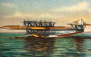 Dornier Do X II Flugboot, 1920er Jahre