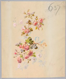 Zeichnung, aus Saint Germain - Bände 1 & 2, ca. 1896 von Unbekannt