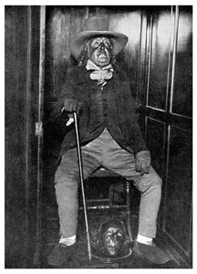 Effigie von Jeremy Bentham mit seinem einbalsamierten Kopf, University College, London von Unbekannt