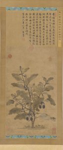 Aubergine, Ming-Dynastie von Unbekannt