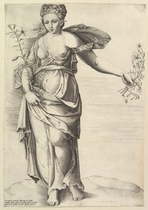 Flora von Unbekannt