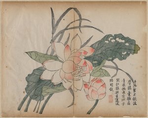 Blühender Lotus und Knospe, 18. Jahrhundert
