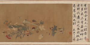 Blumen, Früchte, Muscheln und Insekten, 1368-1644 von Unbekannt