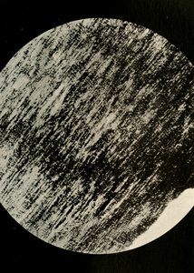 Fossiles Holz im Sandstein, von einer Moräne in 85° südlicher Breite, ca. 1908, 1909 von Unbekannt