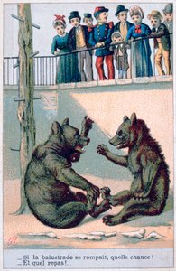 Französische zoologische Postkarte, 19. Jahrhundert von Unbekannt