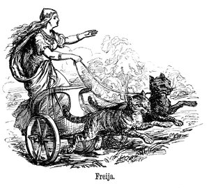 Freya Frigg, Göttin der Liebe in der skandinavischen Mythologie, fährt ihren von Katzen gezogenen Wagen von Unbekannt