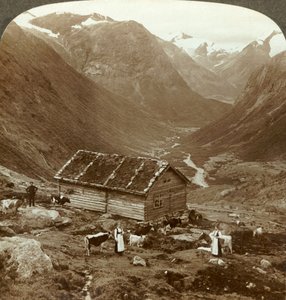 Vom Berghotel in Vidde saeter hinunter ins Vidde-Tal - Mt. Skaala in der Ferne, um 1905 von Unbekannt