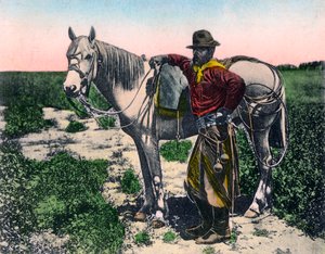 Gaucho, Argentinien, frühes 20. Jahrhundert von Unbekannt
