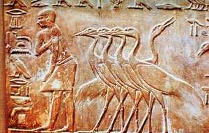 Gänse, Wandrelief aus dem Grab des Ptahhotep, Saqqara, Ägypten, 24. Jahrhundert v. Chr.