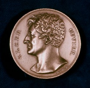 Georges Leopold Chretien Frederic Dagobert, Baron Cuvier, französischer Anatom, 19. Jahrhundert