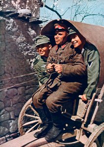 Deutsche Alpentruppen in einem Wagen mit einem bulgarischen Soldaten, Struma-Tal, Bulgarien, 1941 von Unbekannt