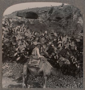 Golgatha Der Ort des Schädels, um 1900