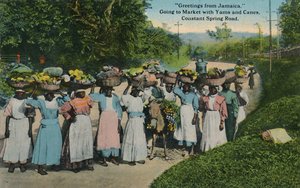 Grüße aus Jamaika. Auf dem Weg zum Markt mit Yams und Zuckerrohr. Constant Spring Road, 1913 von Unbekannt