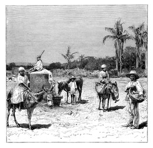 Gruppe von Haitianern, um 1890