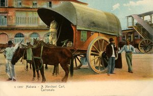 Habana - Ein Händlerkarren, Carromato, ca. 1910