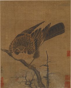 Falke auf einem blattlosen Ast, Möglicherweise Yuan-Dynastie, 1279-1368
