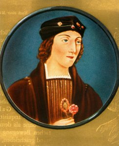 Heinrich VII von Unbekannt