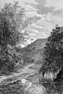 Hochlandlandschaft, Formosa, ca. 1890