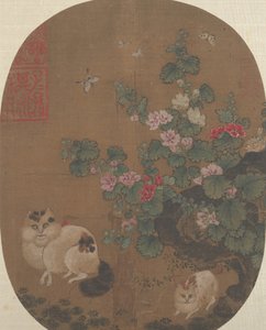 Stockrosen und Katzen